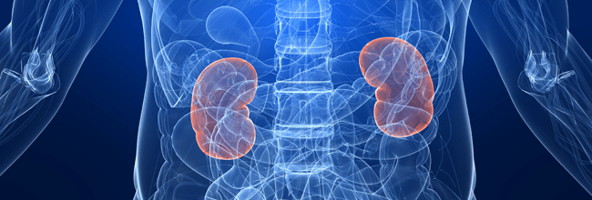 An Early Warning Sign for Chronic Kidney Disease