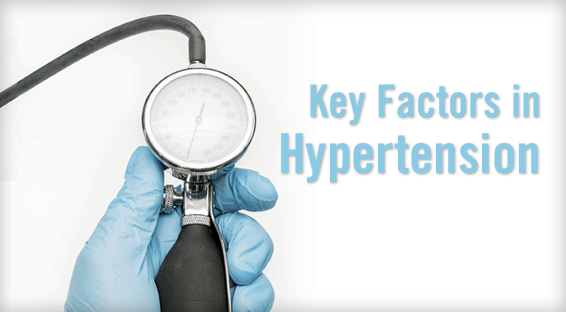 Key Factors in Hypertension