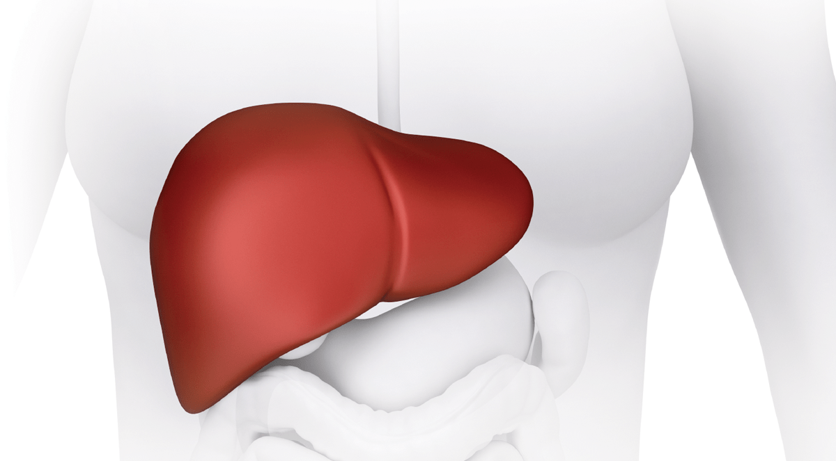 Liver Cancer: Decreasing Morbidity & Mortality