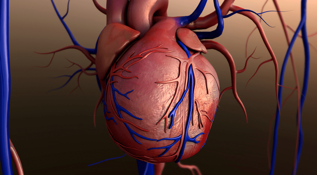 Early Coronary Atherosclerosis in Preeclampsia Patients