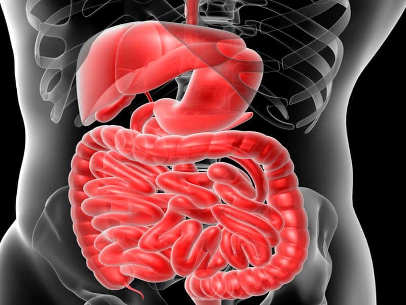 General Adequacy of Vonoprazan & Proton Pump Inhibitors