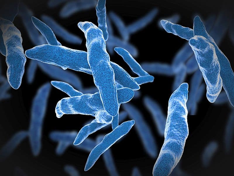 Tuberculosis Vaccine Passes Important Milestone