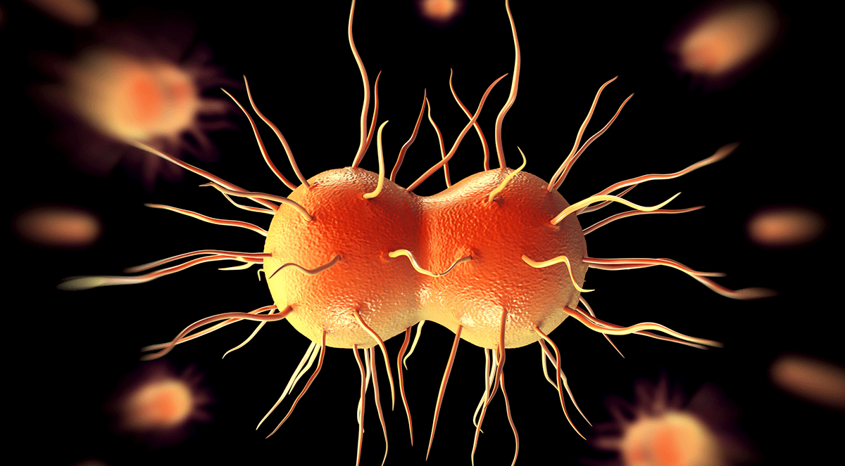 Scientists Develop New Antibiotic for Gonorrhea