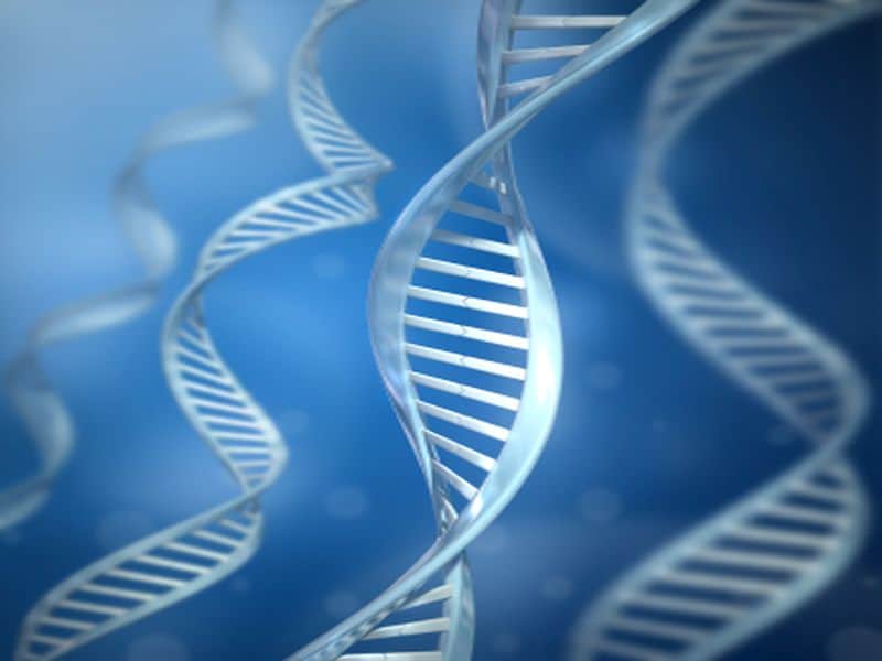 Study Reveals Diabetes and Heart Disease Linked By Genes