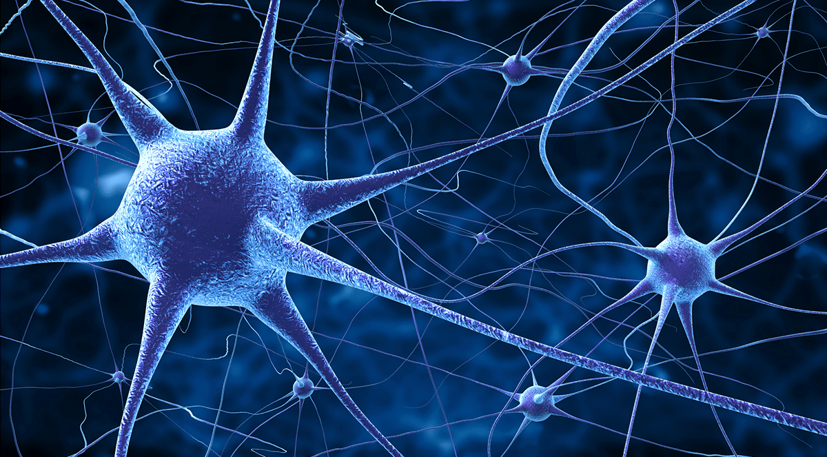 Brain metabolites in chronic migraine patients with medication overuse headache.