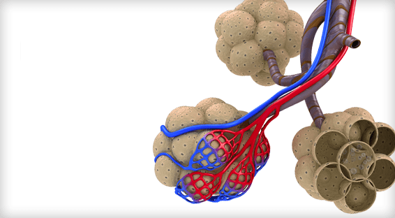 Gender Disparities in Acute Pulmonary Embolism