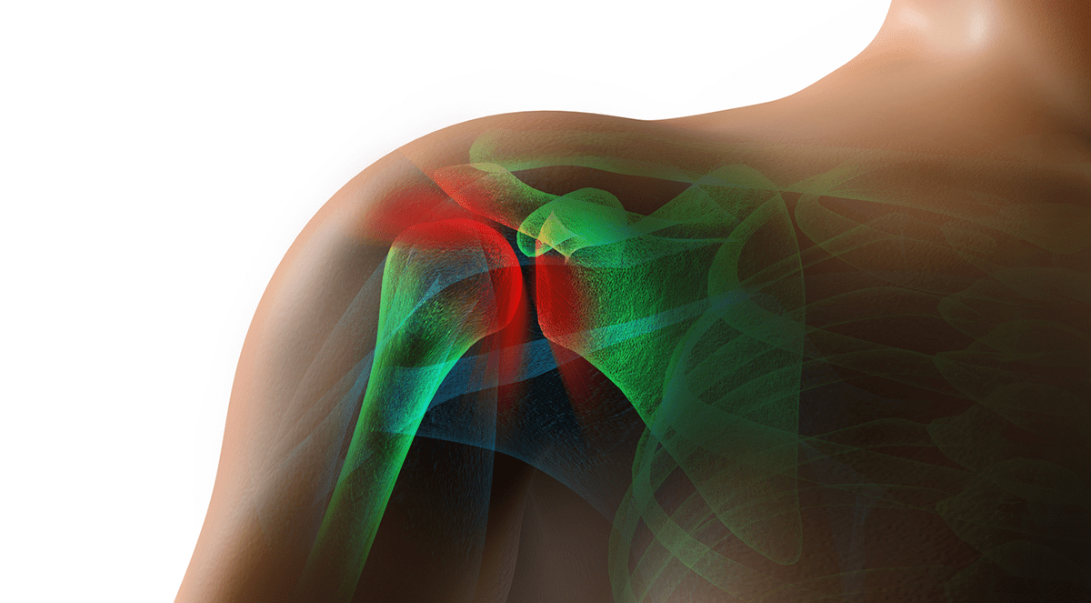 Link Discovered Between Cells Associated with Aging, Bone Loss