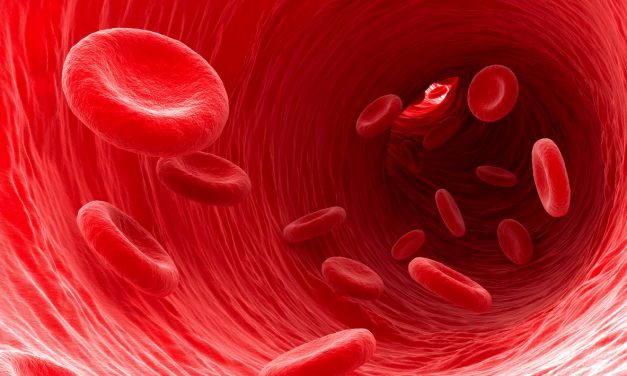 Researchers Discover Key to Regenerating Blood Vessels