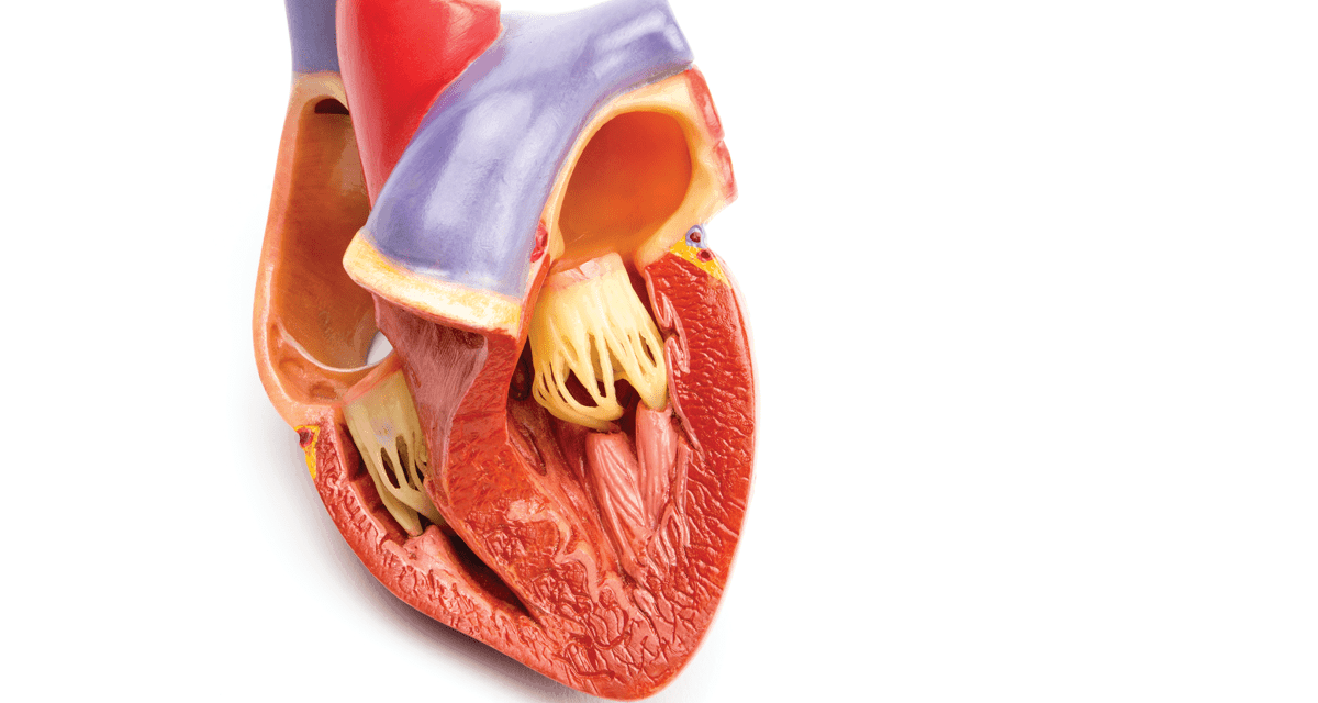 Key Concepts in Managing Complicated Pericarditis