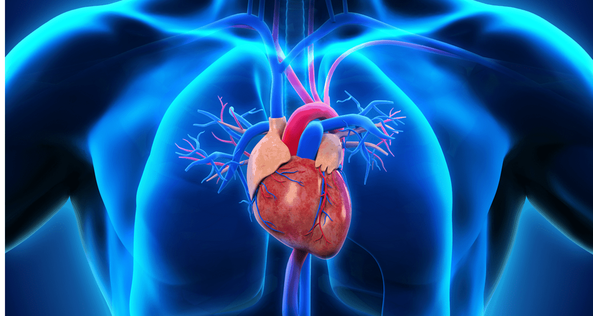 Substantial Differences Between US Counties for Death Rates from Ischemic Heart Disease, Stroke