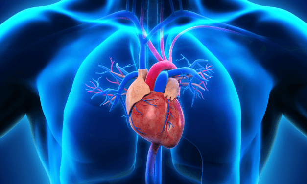 Substantial Differences Between US Counties for Death Rates from Ischemic Heart Disease, Stroke