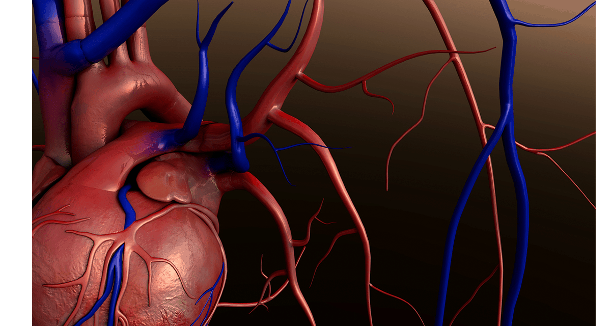 Atrial Fibrillation Ablation & Anticoagulant Use