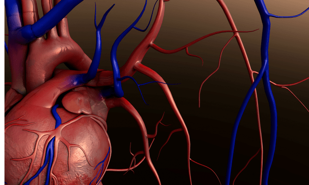 Heart Attack Risk 17-Times More Likely Following Respiratory Infections