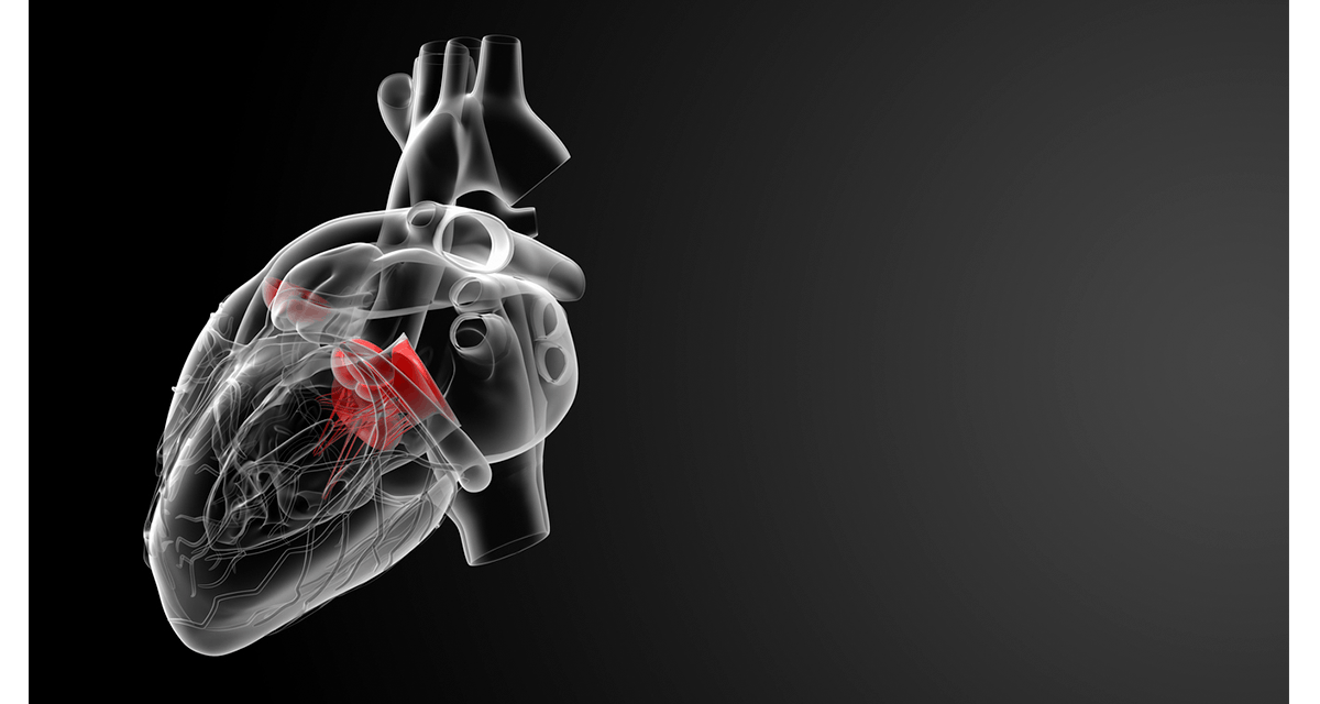 Umbilical Cord Stem Cells Show Promise as Heart Failure Treatment