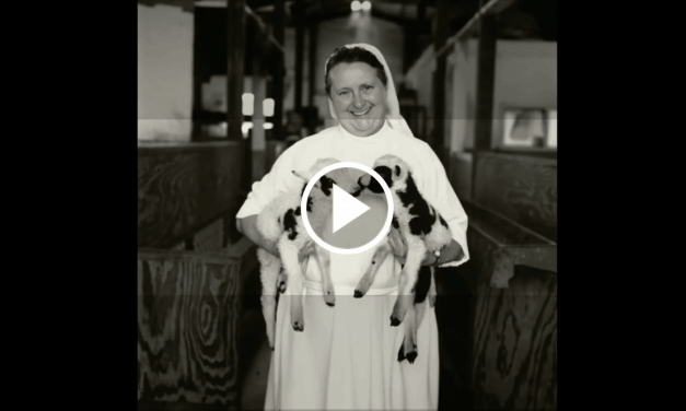 VIDEO: A Tribute to Nurses