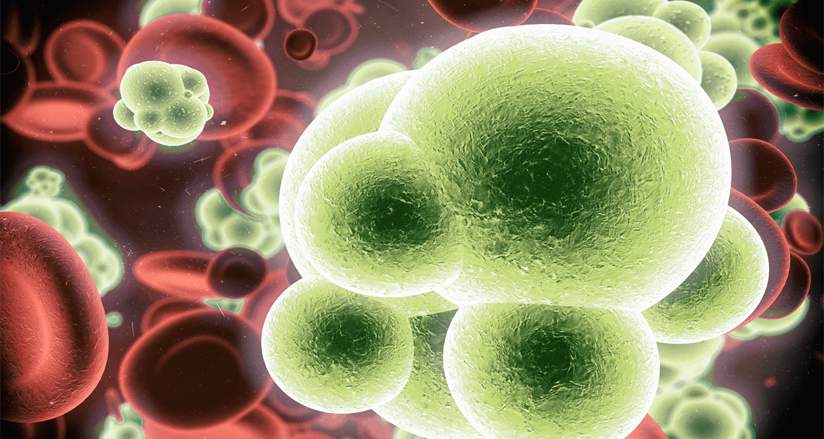 Procalcitonin & Antibiotic Decisions