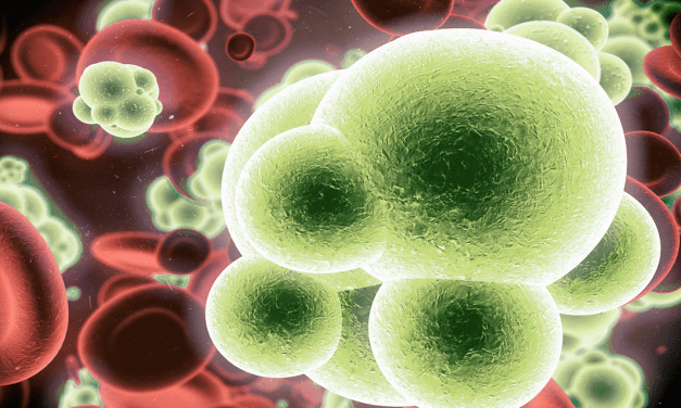 Respiratory, Physical, Psych Sequelae ID’d After COVID-19 Discharge