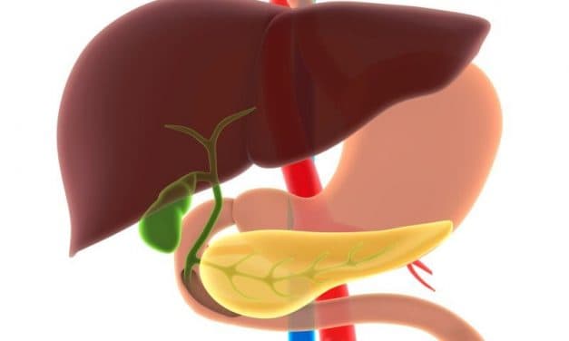 Evaluating Pancreatic Volume Effects on Mortality in Acute Pancreatitis Patients