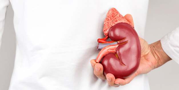 Mistaking a Kidney for a tumor