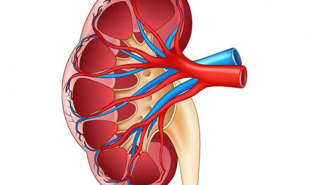 Long-Term Mortality is Associated with Greater Variability in Kidney Function