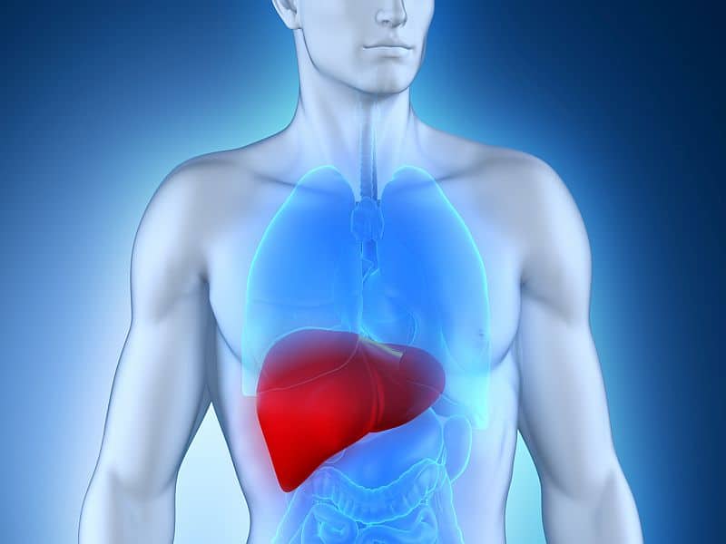 Multidisciplinary Decision Making in Advanced HCC: An Interventional Radiologist’s Perspective