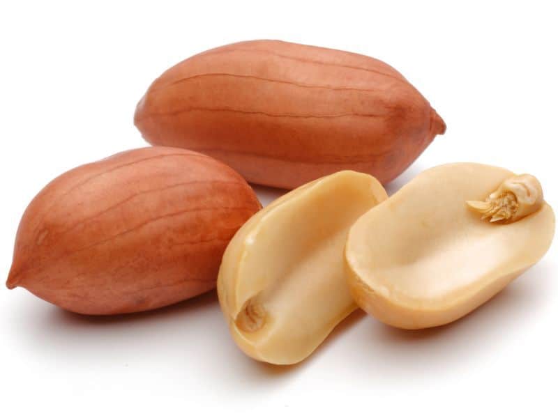 Prevalence of Peanut Allergy 2.9 Percent Among U.S. Adults