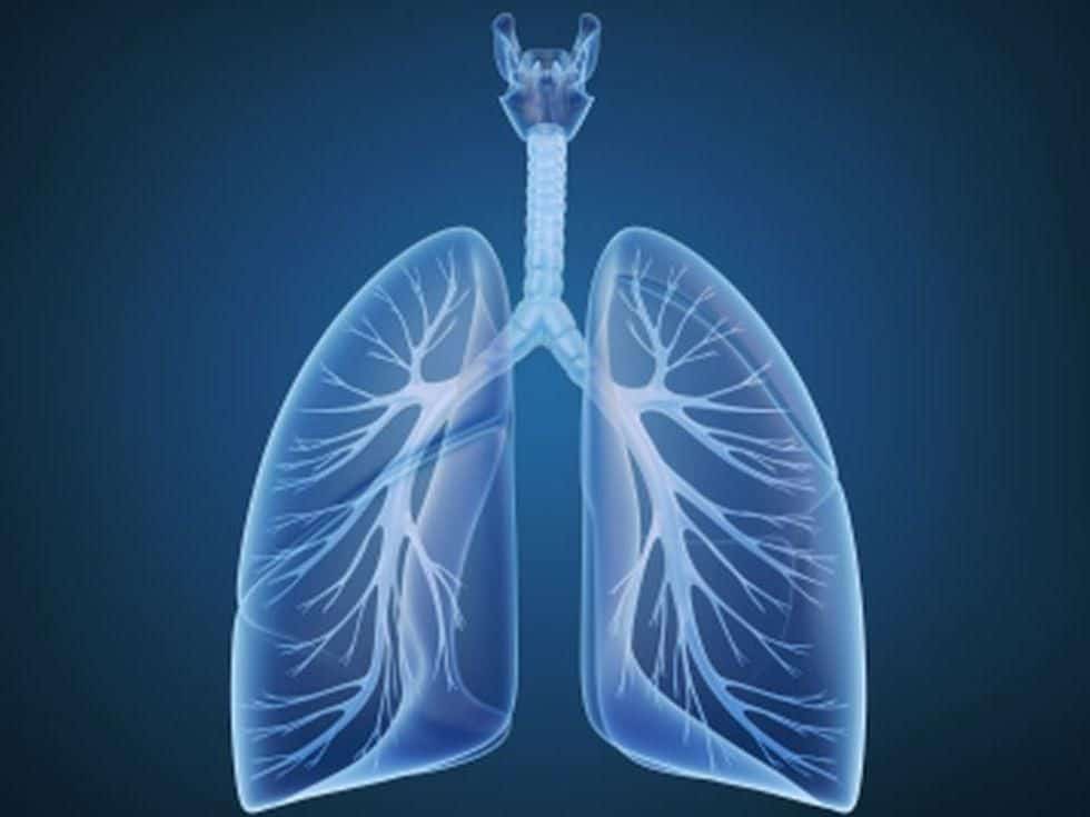 AI Algorithm Helps Evaluate Pulmonary Nodules Detected on Screening CT