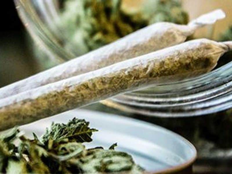 42 Percent of Breast Cancer Patients Report Cannabis Use