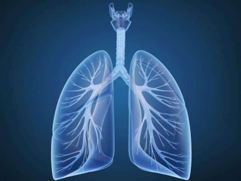 Incidence of Stage I NSCLC at Diagnosis Up in the U.S.