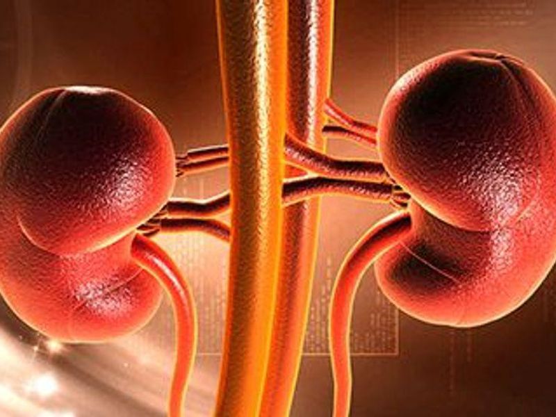 Acute Kidney Injury Hospitalization-Linked Mortality Is High