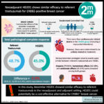 #VisualAbstract: Neoadjuvant HD201 shows similar efficacy to referent trastuzumab for ERBB2-positive breast cancer