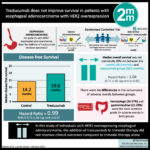 #VisualAbstract: Trastuzumab does not improve survival in patients with esophageal adenocarcinoma with HER2 overexpression