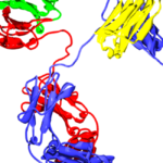 The antibody drug conjugate MRGOO3 is a promising for use in EGFR-expressing cancers