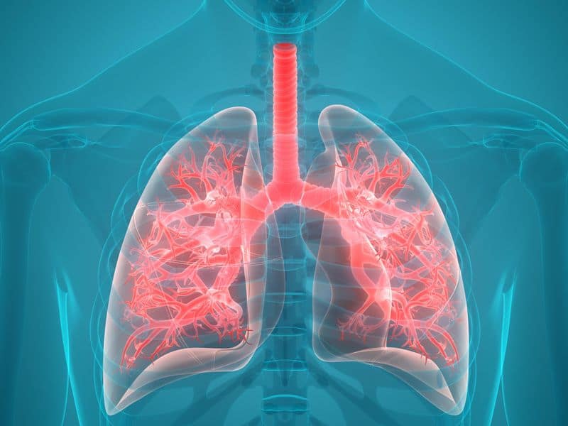 Point-of-Care Lung Ultrasound Feasible for Pneumonia Diagnosis in Primary Care