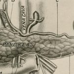 Treatment with adjuvant mFOLFIRINOX as compared with gemcitabine improves survival outcomes in resected pancreatic cancer