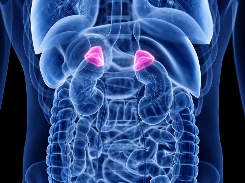 Prevalence of Adrenal Tumors Studied in Adults in China