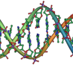 Selpercatinib continues to demonstrate effective response in RET fusion-positive NSCLC