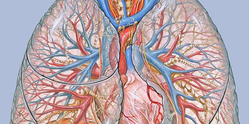 Black patients with pulmonary fibrosis may have worse outcomes compared to other populations