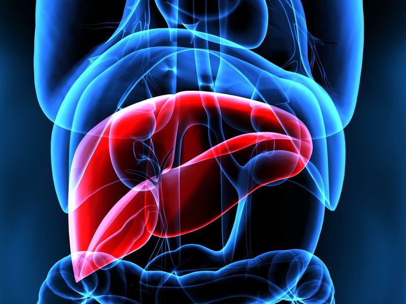 Model Developed for Predicting Disease Progression in Hep B Liver Cirrhosis