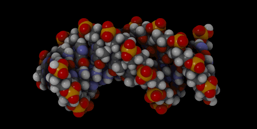 Adagrasib in Advanced Solid Tumors Harboring a KRASG12C Mutation