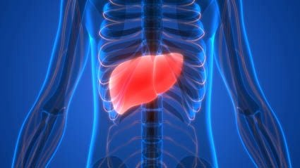 Guidelines Developed for Management of Alcohol-Associated Liver Disease