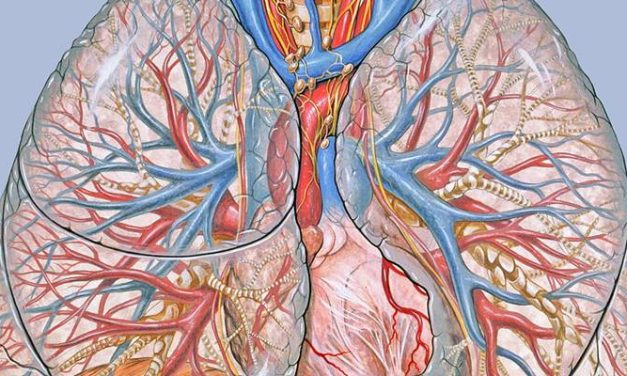 Simnotrelvir to reduces the symptoms of mild to moderate COVID-19