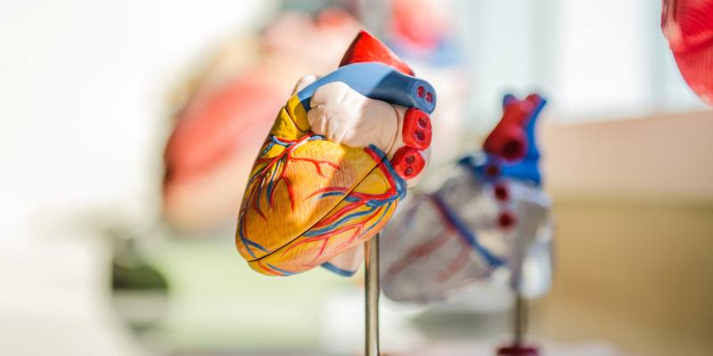 Immune checkpoint inhibitors may increase risk of atherosclerotic cardiovascular disease