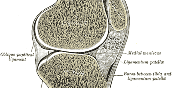 Biosimilar MW032 Vs Denosumab for Solid Tumor–Related Bone Metastases