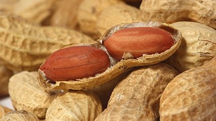 Expanded Use of Xolair to Treat Food Allergies Approved by the FDA