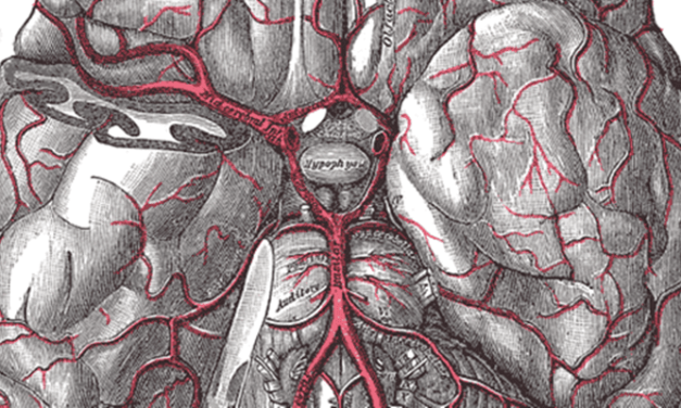 Penetrating traumatic brain injuries associated with greater risk of brain cancer amongst veterans