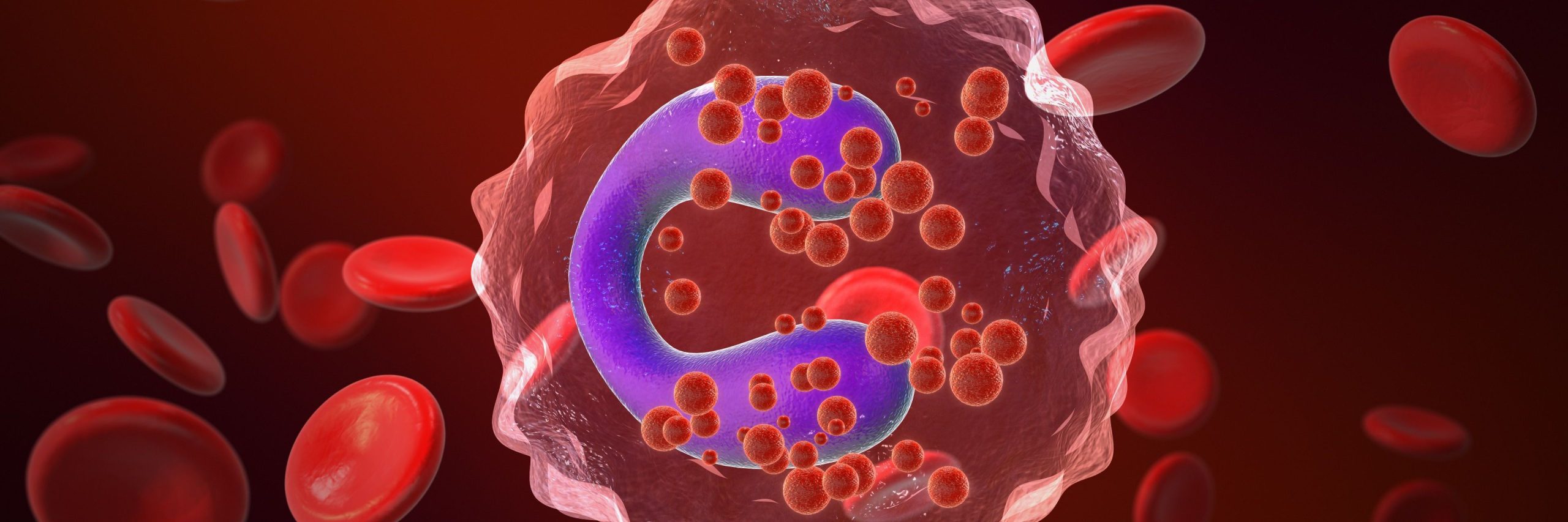 Blood Eosinophil Levels Show Promise as Predictive Biomarker for Clinical Outcomes in AECOPD