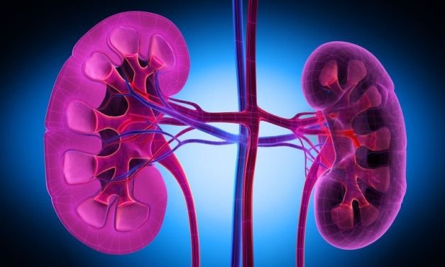 Simple Risk Score Predicts Severe Cisplatin-Linked Acute Kidney Injury