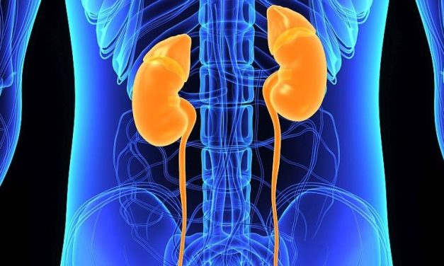 Inorganic Nitrate Treatment Cuts Rate of Contrast-Induced Nephropathy