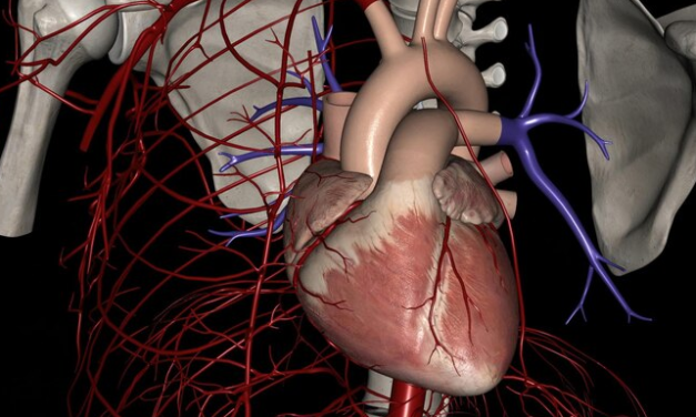 ACC: AI-Based Video Biomarker Detects Aortic Stenosis Progression